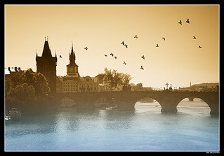 click for enlarge 992 X 694 211.4 Kb picture