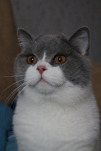 click for enlarge 682 X 1024 104.8 Kb picture