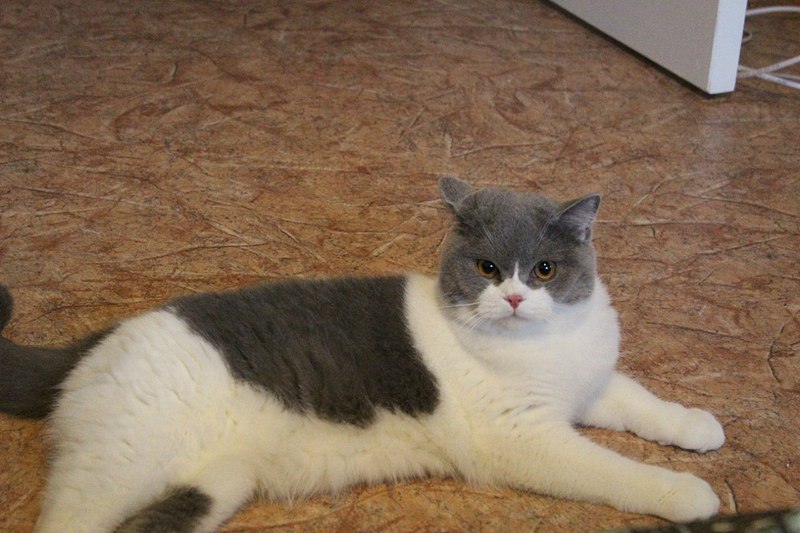 click for enlarge 1280 X 853 181.8 Kb picture