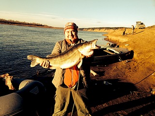 click for enlarge 1920 X 1440 720.7 Kb picture