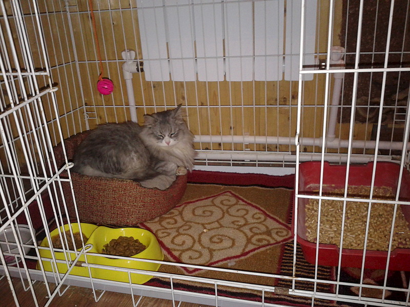 click for enlarge 1920 X 1440 705.4 Kb picture