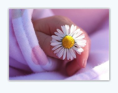 click for enlarge 590 X 466 33.2 Kb picture