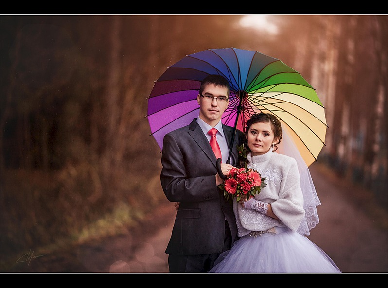 click for enlarge 1920 X 1425 478.4 Kb picture