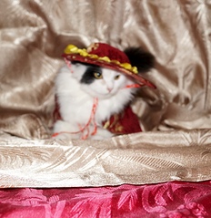 click for enlarge 1579 X 1627 835.6 Kb picture