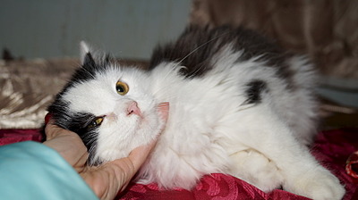 click for enlarge 1920 X 1076 305.0 Kb picture