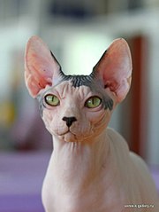 click for enlarge 453 X 604 30.5 Kb picture