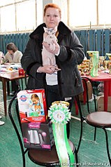 click for enlarge 341 X 512 51.7 Kb picture