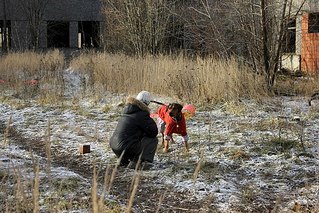 click for enlarge 604 X 403  99.9 Kb picture