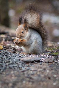 click for enlarge 1920 X 2880 325.9 Kb picture