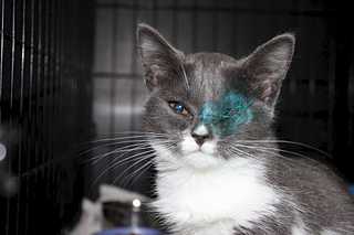 click for enlarge 1920 X 1279 132.4 Kb picture