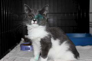 click for enlarge 1920 X 1279 89.5 Kb picture