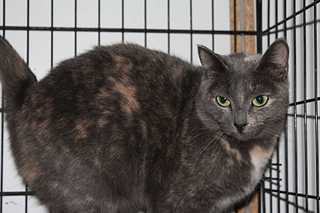 click for enlarge 1920 X 1279 132.7 Kb picture