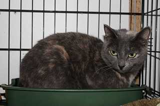 click for enlarge 1920 X 1279 134.3 Kb picture