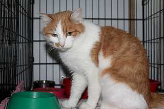 click for enlarge 1920 X 1279 151.9 Kb picture