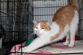 click for enlarge 1920 X 1279 164.1 Kb picture