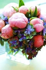 click for enlarge 332 X 500 38.2 Kb picture