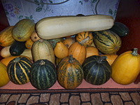 click for enlarge 1920 X 1440 658.4 Kb picture