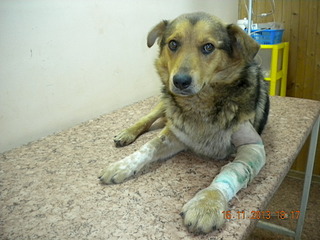 click for enlarge 1920 X 1440 506.1 Kb picture