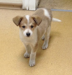 click for enlarge 791 X 822 164.1 Kb picture