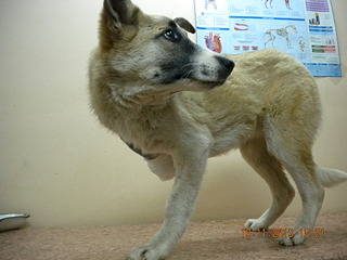 click for enlarge 1920 X 1440 579.5 Kb picture