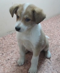 click for enlarge 744 X 902 149.1 Kb picture