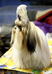 click for enlarge 430 X 604  70.4 Kb picture