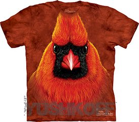 click for enlarge 750 X 655  83.2 Kb picture