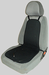 click for enlarge 265 X 400  30.7 Kb picture