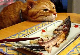 click for enlarge 634 X 432  46.3 Kb picture