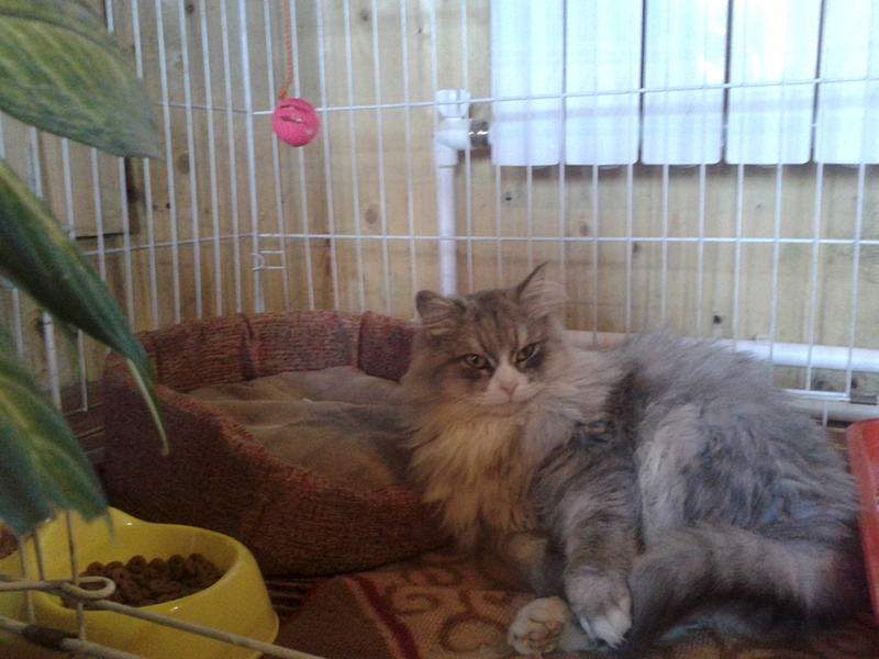 click for enlarge 1920 X 1440 481.0 Kb picture