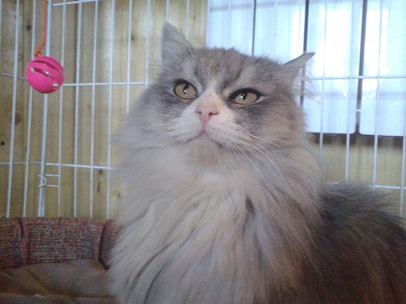 click for enlarge 1920 X 1440 469.8 Kb picture