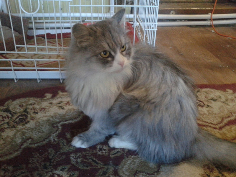 click for enlarge 1920 X 1440 519.5 Kb picture