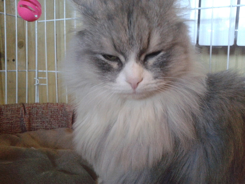 click for enlarge 1920 X 1440 482.8 Kb picture