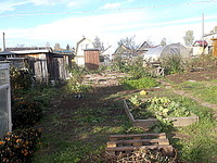 click for enlarge 320 X 240 37.0 Kb picture