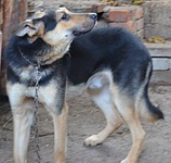 click for enlarge 919 X 871 248.4 Kb picture