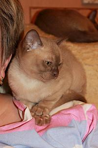 click for enlarge 855 X 1282 127.3 Kb picture