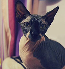 click for enlarge 1920 X 2025 280.9 Kb picture