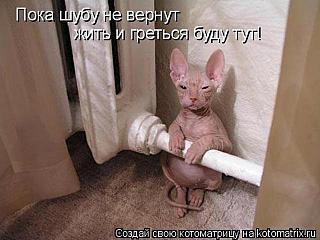 click for enlarge 640 X 480  41.4 Kb picture