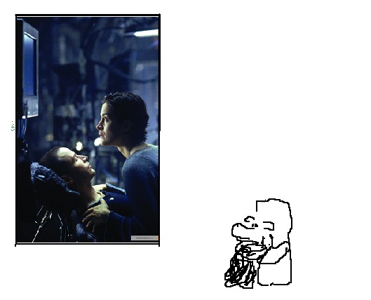 529 x 428