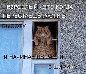 click for enlarge 550 X 474 114.2 Kb picture