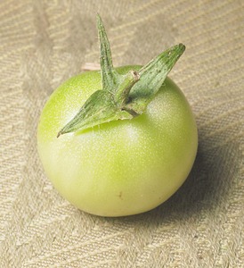 click for enlarge 910 X 996 97.1 Kb picture