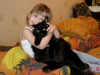click for enlarge 604 X 453  64.0 Kb picture