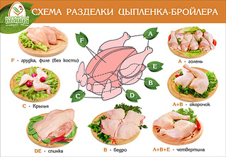 click for enlarge 1000 X 696 284.2 Kb picture