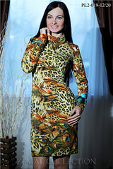 click for enlarge 1037 X 1555 249.2 Kb picture