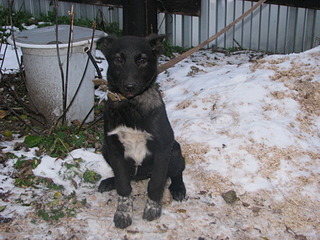 click for enlarge 1920 X 1440 675.9 Kb picture