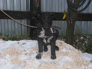 click for enlarge 1920 X 1440 660.1 Kb picture