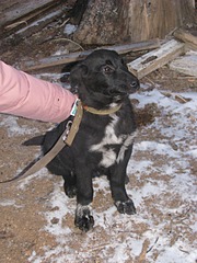 click for enlarge 1920 X 2560 376.3 Kb picture