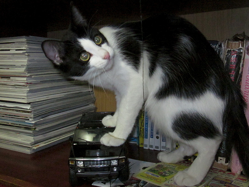 click for enlarge 1920 X 1440 723.8 Kb picture