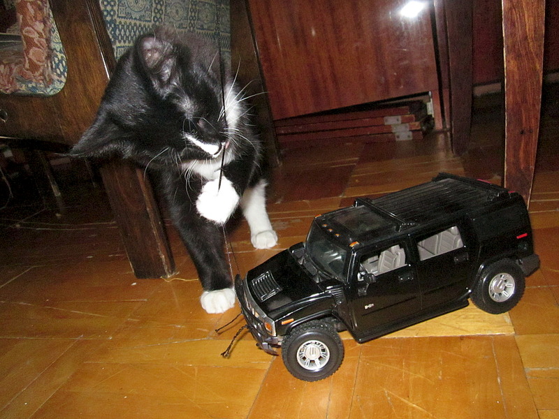 click for enlarge 1920 X 1440 764.4 Kb picture