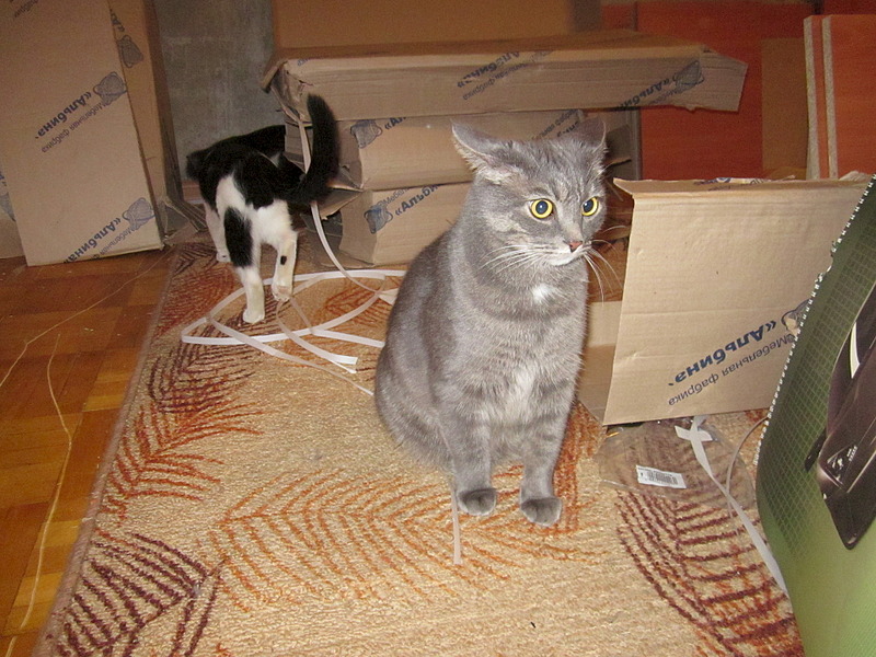 click for enlarge 1920 X 1440 746.9 Kb picture